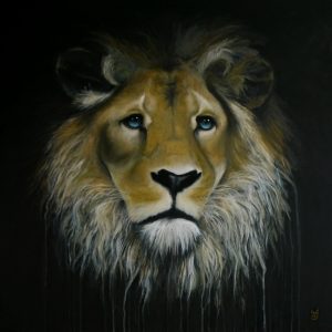 Panthera leo krugeri - 2016 - 100x100cm