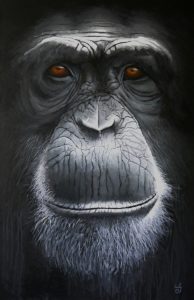 Le vieux singe - 2016 - 100x65cm